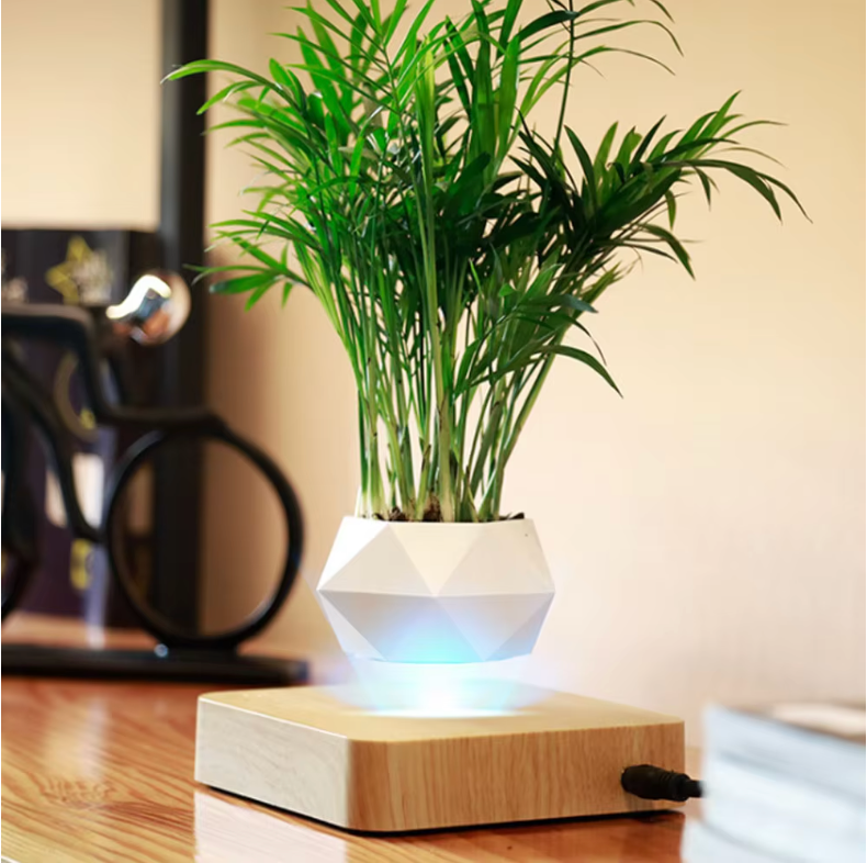 Anti-Gravity Floating Plant Pot 