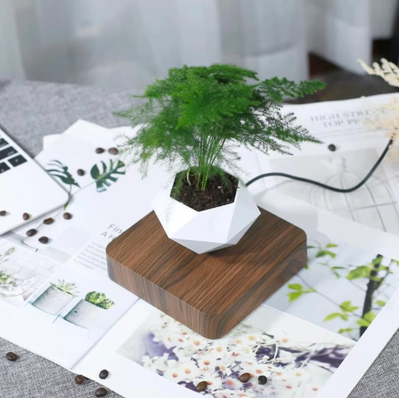 Anti-Gravity Floating Plant Pot 