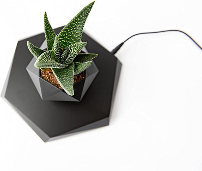 Anti-Gravity Floating Plant Pot 