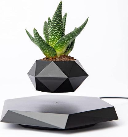 Anti-Gravity Floating Plant Pot 